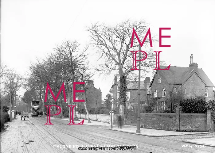 : Malone Rd. Belfast at Malone Park : Malone Rd. Belfast at Malone Park