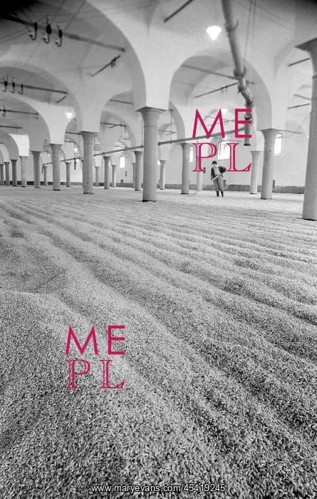 : MALT BREWERY BEER PILSNER : MALT BREWERY BEER PILSNER