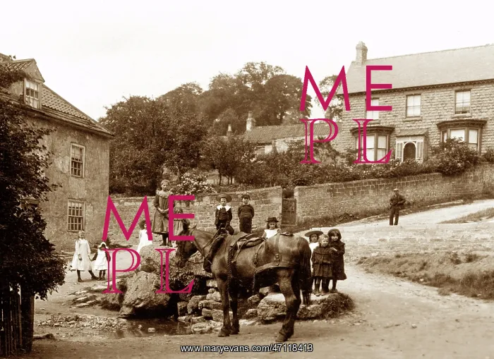 : Maltby Well, early 1900s
