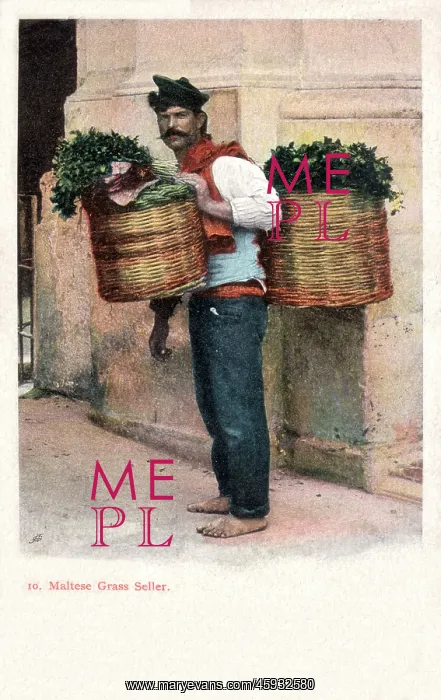  : Maltese Grass Seller - Malta