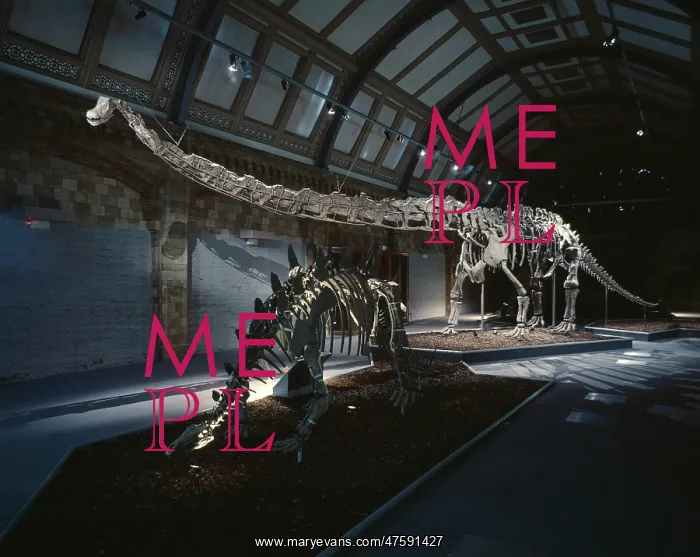 : Mamenchisaurus : Mamenchisaurus