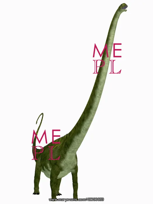 : Mamenchisaurus dinosaur : Mamenchisaurus dinosaur