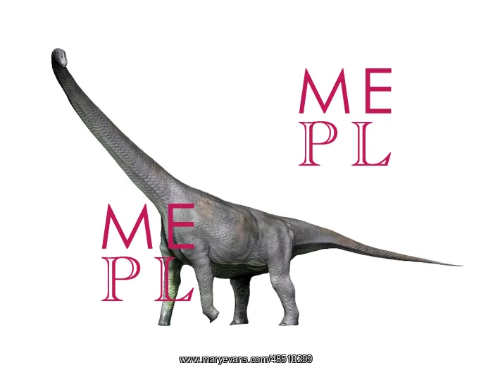 : Mamenchisaurus dinosaur : Mamenchisaurus dinosaur