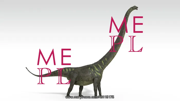 : Mamenchisaurus dinosaur, white background : Mamenchisaurus dinosaur, white background