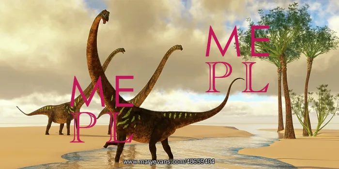 : Mamenchisaurus dinosaurs play in a stream : Mamenchisaurus dinosaurs play in a stream
