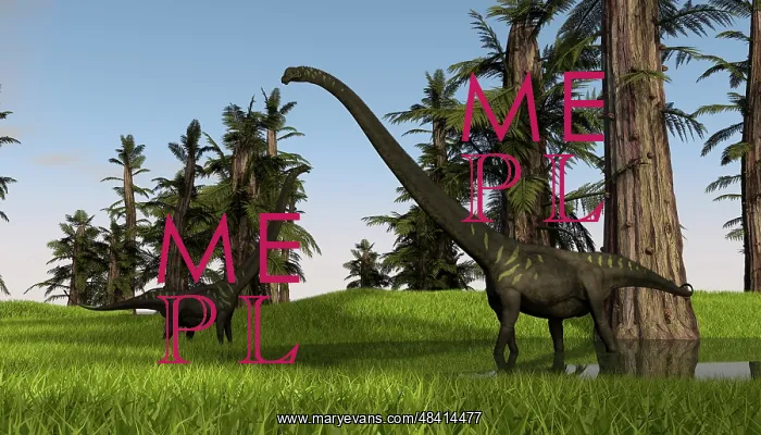 : Two Mamenchisaurus in swampy water : Two Mamenchisaurus in swampy water