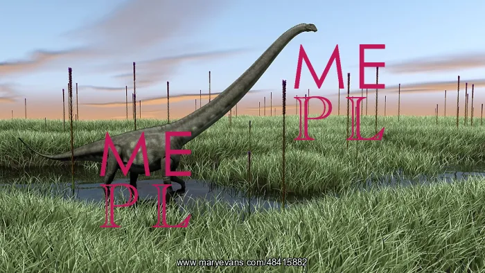 : Mamenchisaurus walking through wetlands : Mamenchisaurus walking through wetlands