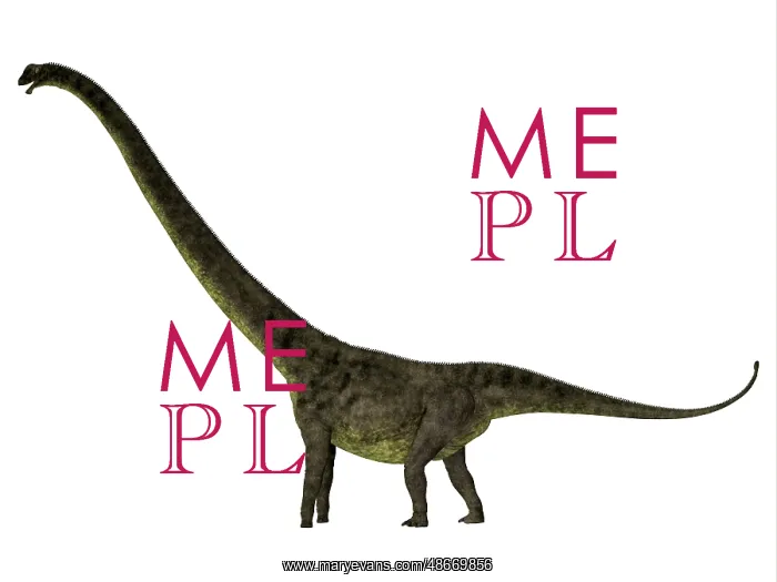 : Mamenchisaurus youngi dinosaur, side profile : Mamenchisaurus youngi dinosaur, side profile