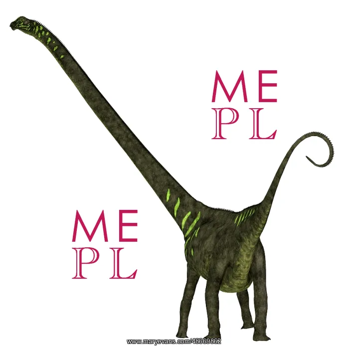: Mamenchisaurus youngi dinosaur on white background : Mamenchisaurus youngi dinosaur on white background