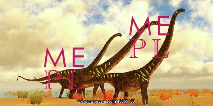 : Mamenchisaurus youngi dinosaurs lakeside during : Mamenchisaurus youngi dinosaurs lakeside during