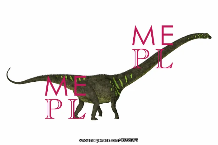 : Mamenchisaurus youngi, side profile on white background : Mamenchisaurus youngi, side profile on white background