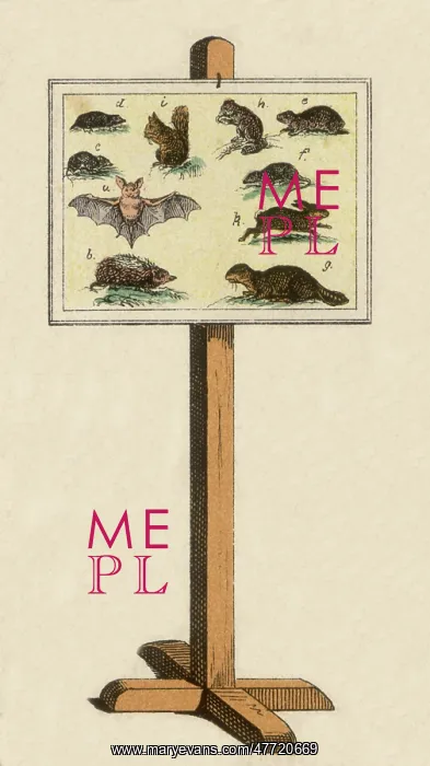  : Mammal Chart