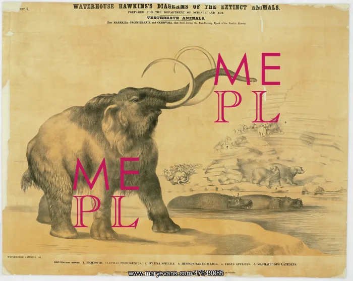 : Mammoth and Hyaena : Mammoth and Hyaena