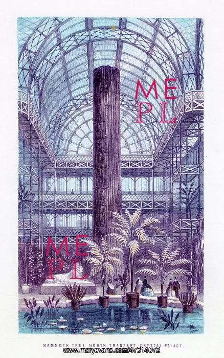 : MAMMOTH TREE, CRYSTAL PALACE : MAMMOTH TREE, CRYSTAL PALACE