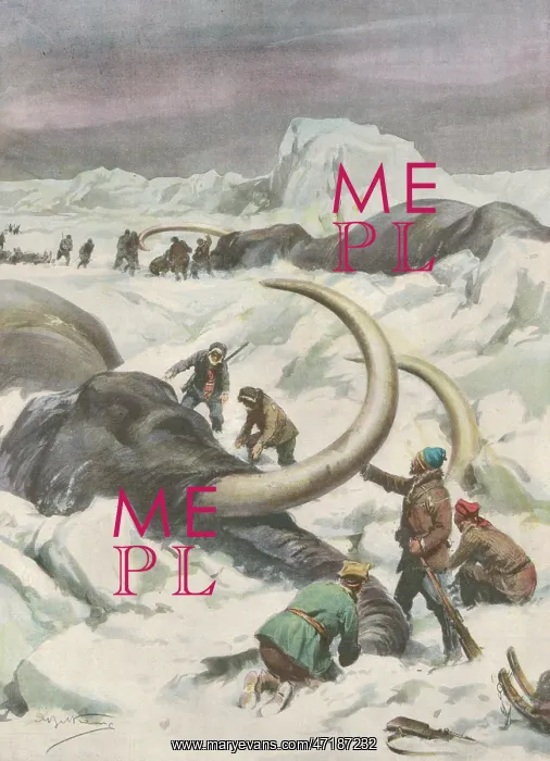  : MAMMOTHS FOUND FROZEN