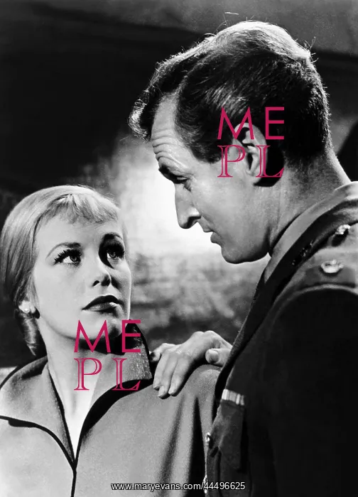: The Man Between (1953) : The Man Between (1953)