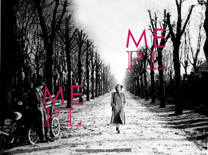 : THE THIRD MAN : THE THIRD MAN
