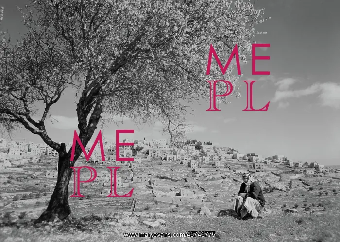 : Man - Arab - rural - Bethlehem - West Bank : Man - Arab - rural - Bethlehem - West Bank