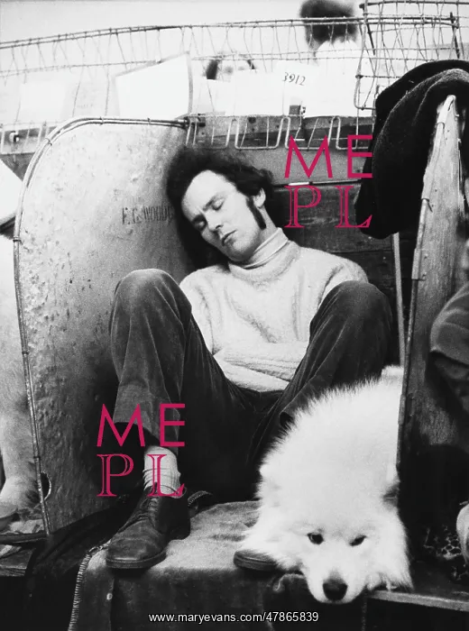 : Man asleep at a Dog Show : Man asleep at a Dog Show