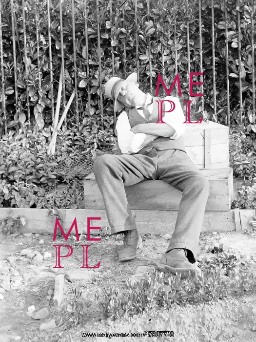 : Man asleep in a garden, Mid Wales : Man asleep in a garden, Mid Wales