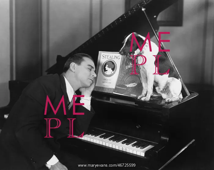 : Man asleep at piano with dog : Man asleep at piano with dog