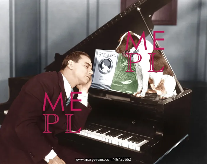 : Man asleep at piano with dog : Man asleep at piano with dog