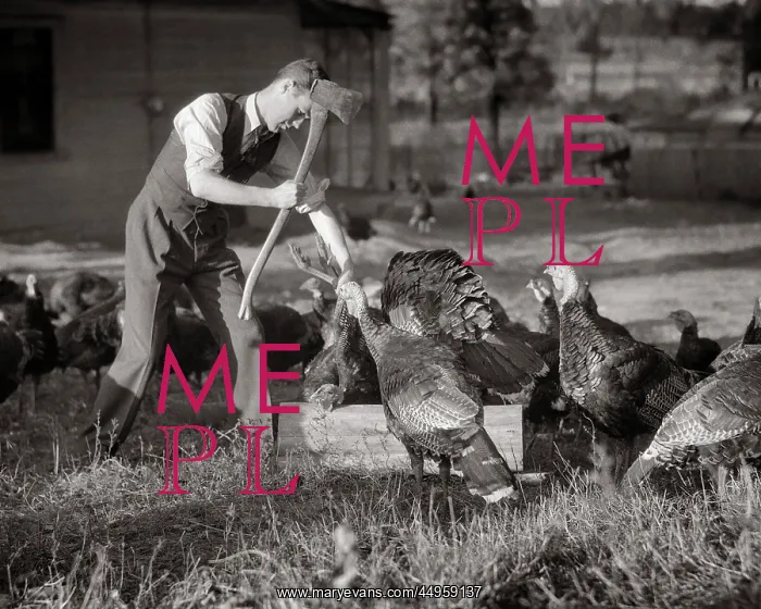 : Man with An Ax Killing Turkey Beheading on Chopping : Man with An Ax Killing Turkey Beheading on Chopping