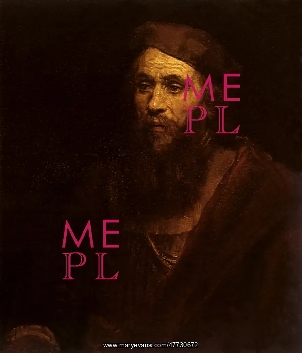 : Man with a Beard, by Rembrandt : Man with a Beard, by Rembrandt