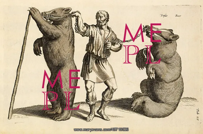 : Man - bears - trainer - tamer - animals : Man - bears - trainer - tamer - animals