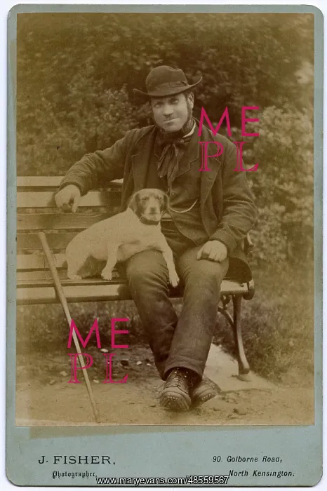  : Man on a bench with his terrier dog