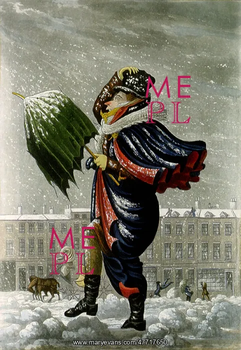  : Man in Blizzard