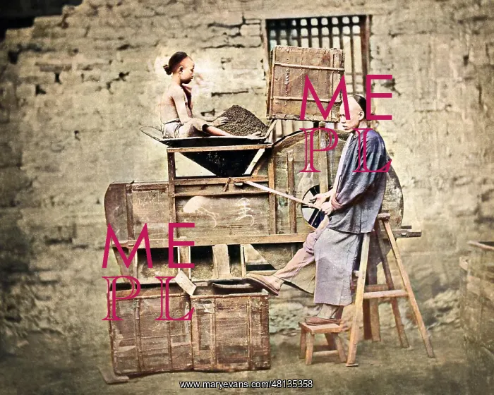 : Man and boy sifting tea, China : Man and boy sifting tea, China