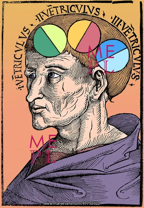 : Man with Brain Ventricles, Albertus Magnus : Man with Brain Ventricles, Albertus Magnus