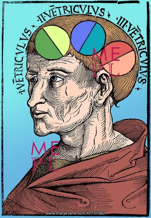 : Man with Brain Ventricles, Albertus Magnus : Man with Brain Ventricles, Albertus Magnus