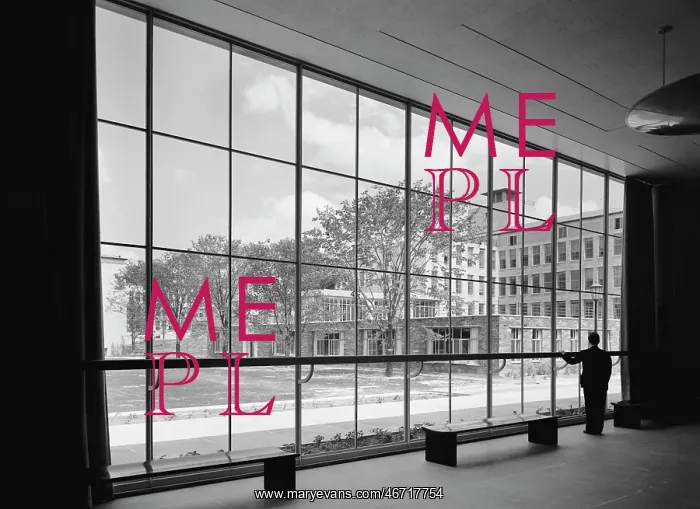 : Man - Business - Office - Window : Man - Business - Office - Window