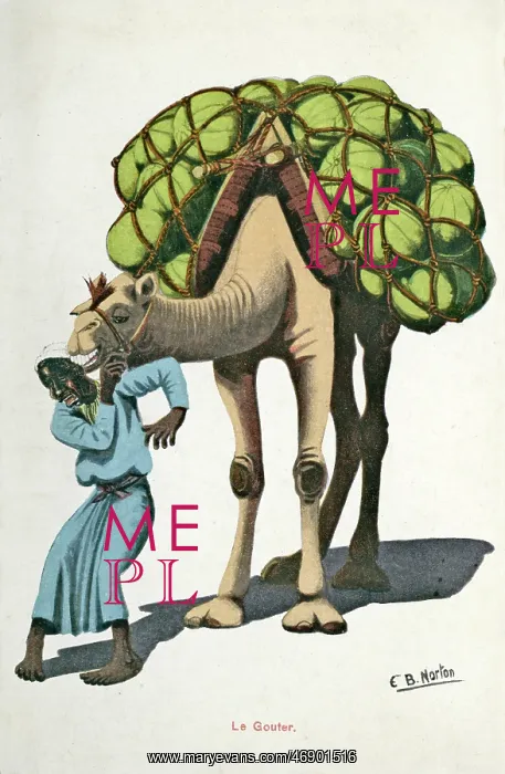 : A man and his camel in Egypt : A man and his camel in Egypt