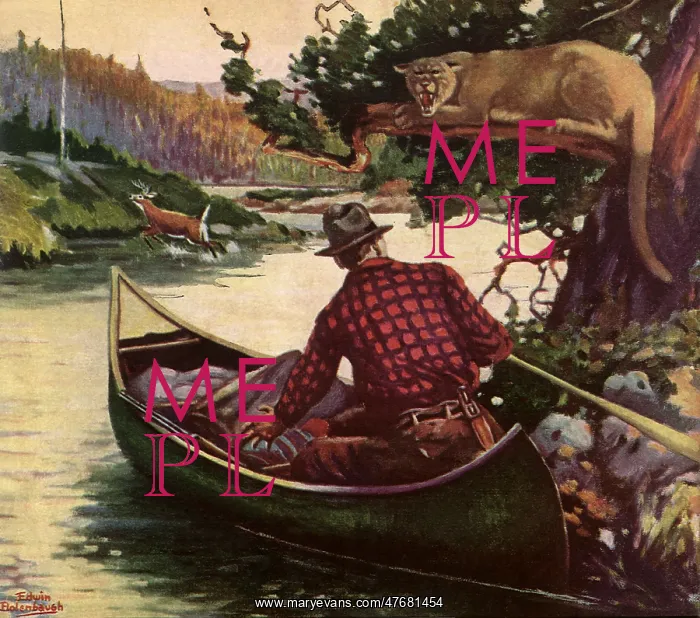  : Man in canoe wild cat in tree
