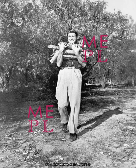 : Man carrying firewood : Man carrying firewood