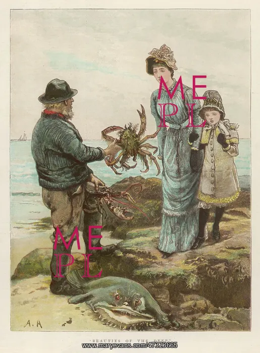 : MAN CATCHES CRAB / 1882 : MAN CATCHES CRAB / 1882