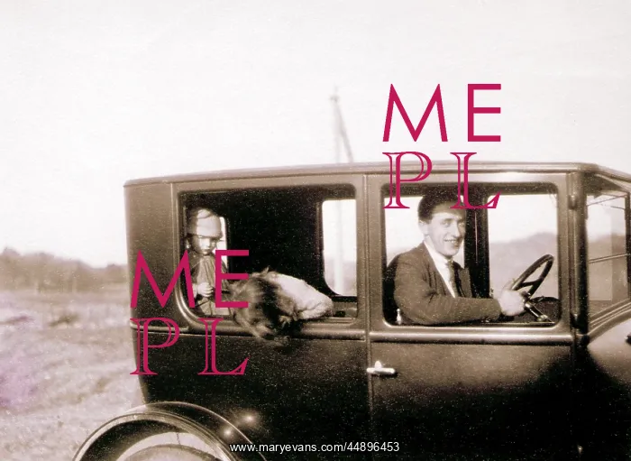 : Man and two children in a car : Man and two children in a car