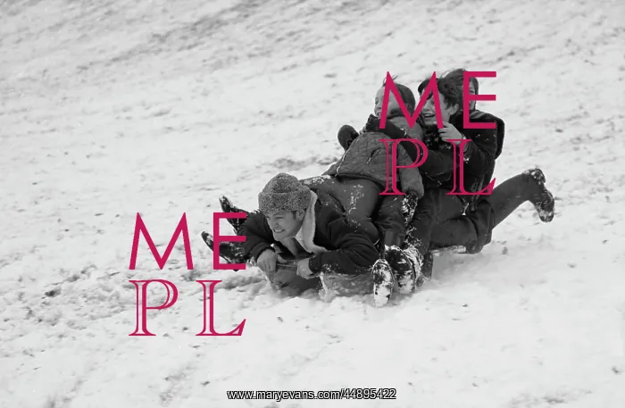 : Man and three children on a toboggan in the snow : Man and three children on a toboggan in the snow