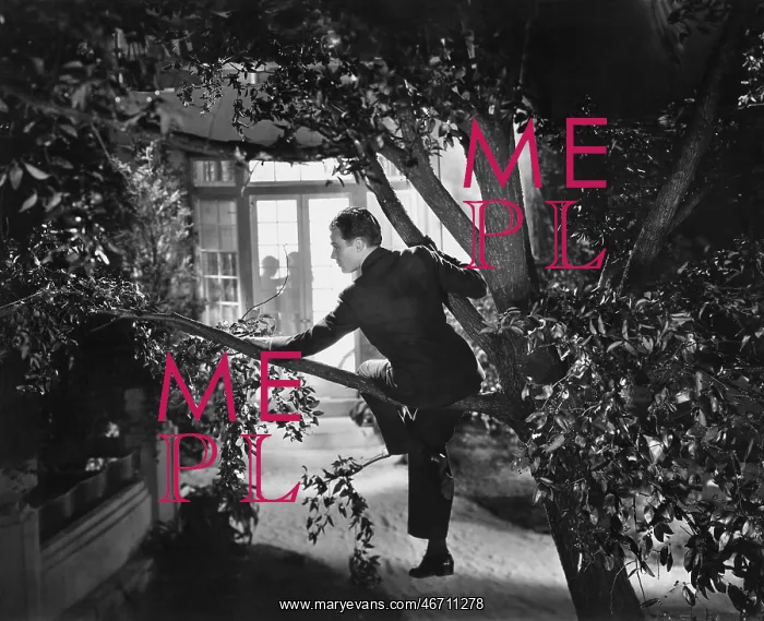 : Man climbing tree party crashing : Man climbing tree party crashing