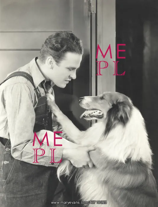  : Man and his collie