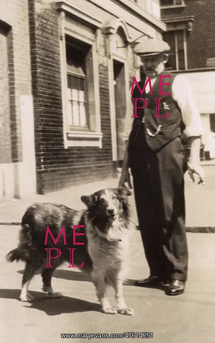  : Man with a collie dog in a street