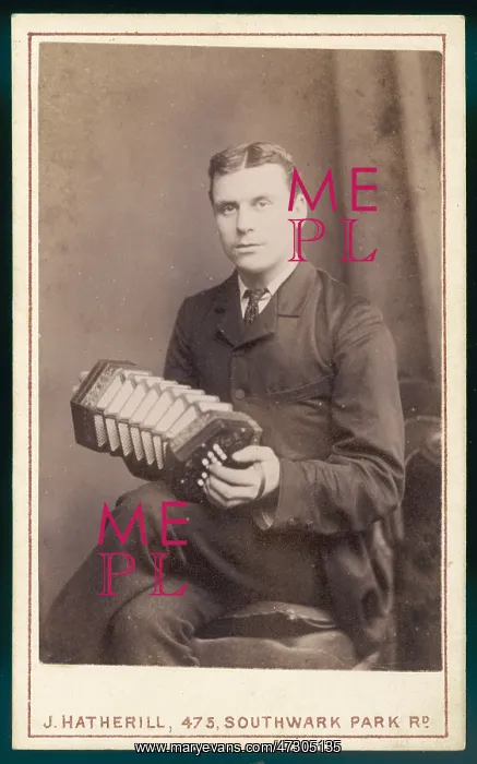 : Man - Concertina - Photo
