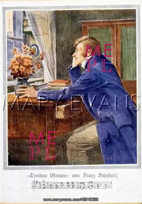 : MAN CONTEMPLATES FLOWERS : MAN CONTEMPLATES FLOWERS