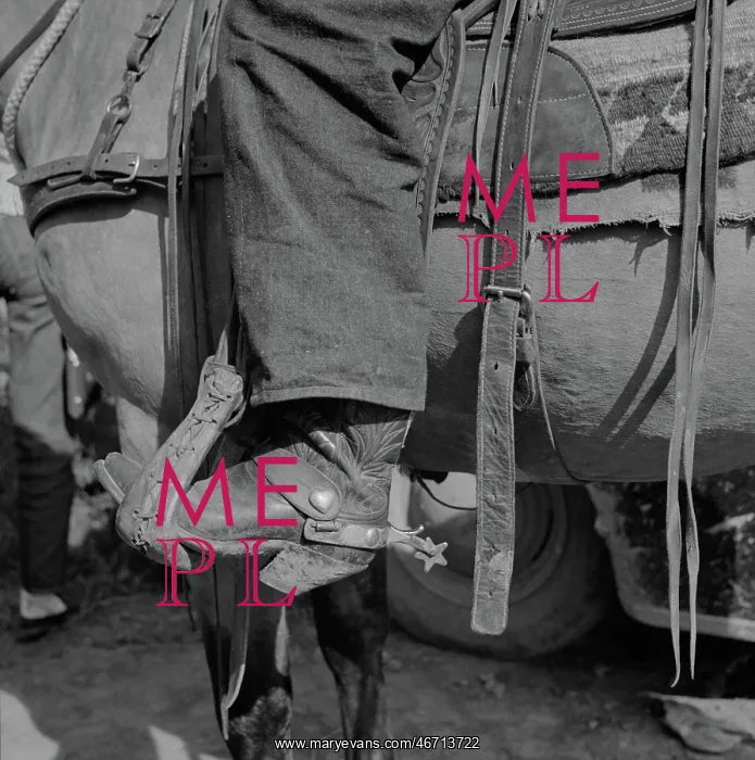 : Man - Cowboy - Horse - Stirrup : Man - Cowboy - Horse - Stirrup