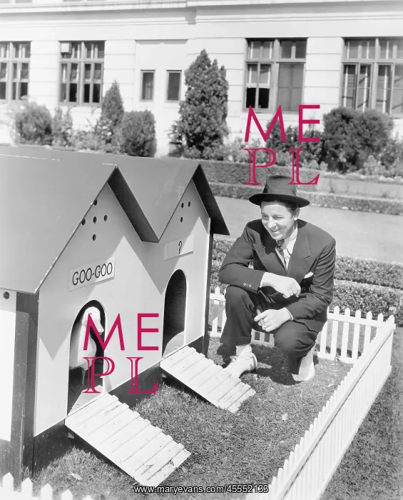 : Man crouching next to duck house : Man crouching next to duck house