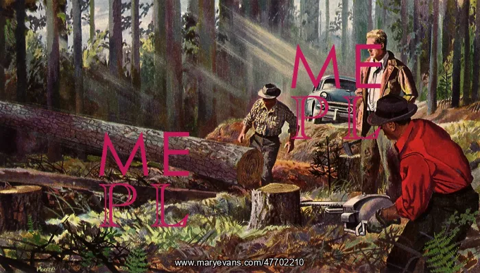  : Man Cutting Tree