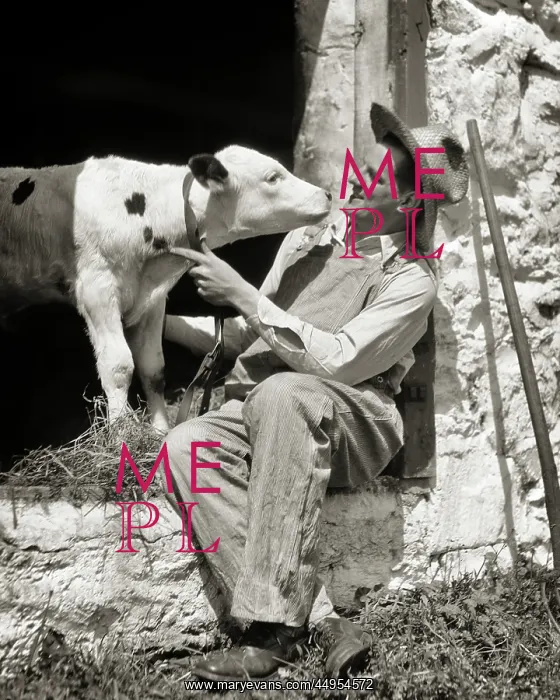 : Man Dairy Farmer in Overalls Straw Hat Sitting : Man Dairy Farmer in Overalls Straw Hat Sitting
